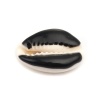 Image de Perles en Coquille Escargot de Mer Noir 25mm x 17mm-18mm x 14mm, 10 Pcs