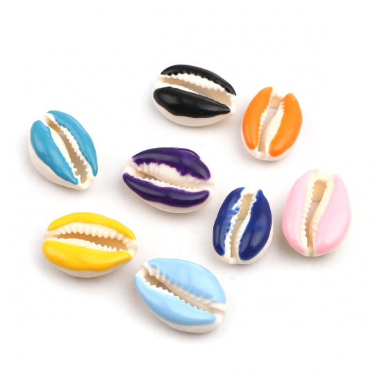 Picture of Natural Shell Loose Beads Conch/ Sea Snail Black About 25mm x 17mm-18mm x 14mm, 10 PCs