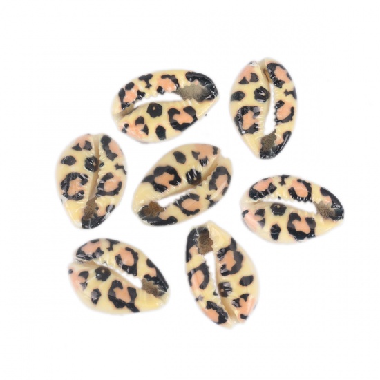 Picture of Natural Shell Loose Beads Conch/ Sea Snail Black & Beige Leopard Print Pattern About 25mm x 17mm-18mm x 14mm, 10 PCs