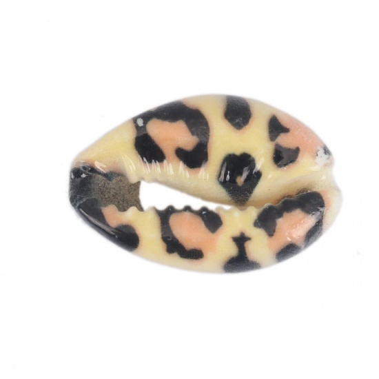Immagine di Conchiglia Sciolto Perline Conchiglia Nero & Beige Leopardo Disegno 25mm x 17mm-18mm x 14mm, 10 Pz