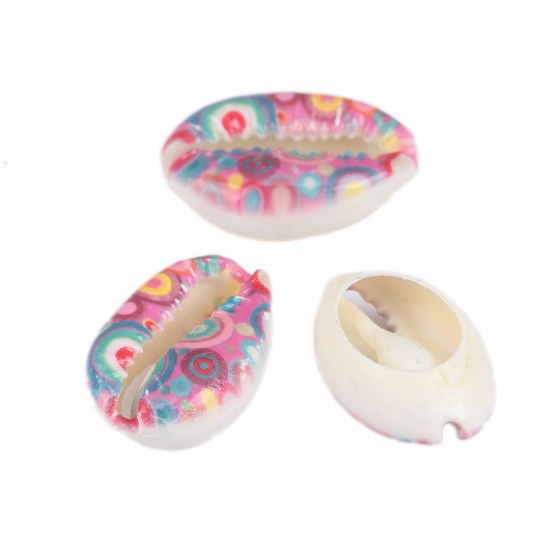 Image de Perles en Coquille Escargot de Mer Multicolore Cercles 25mm x 17mm-18mm x 14mm, 10 Pcs