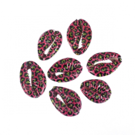Picture of Natural Shell Loose Beads Conch/ Sea Snail Fuchsia & Black Leopard Print Pattern About 25mm x 17mm-18mm x 14mm, 10 PCs