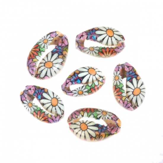 Picture of Natural Shell Loose Beads Conch/ Sea Snail Multicolor Flower Pattern About 20mm x 13mm-16mm x 12mm, 10 PCs
