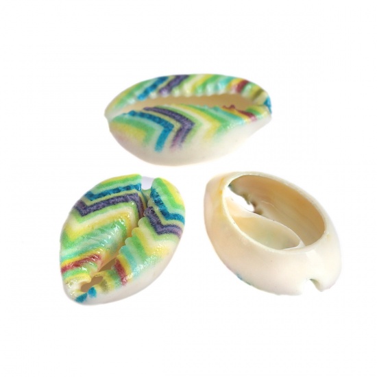 Image de Perles en Coquille Escargot de Mer Multicolore Rayées 20mm x 13mm-16mm x 12mm, 10 Pcs
