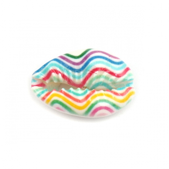 Image de Perles en Coquille Escargot de Mer Multicolore Vague 25mm x 17mm-18mm x 14mm, 10 Pcs
