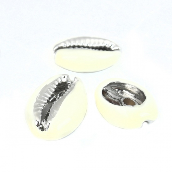 Image de Perles en Coquille Escargot de Mer Crème Argent 24mm x 16mm-17mm x 13mm, 5 Pcs