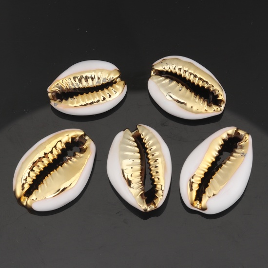 Picture of Natural Shell Loose Beads Conch/ Sea Snail Golden White About 24mm x 16mm-17mm x 13mm, 5 PCs