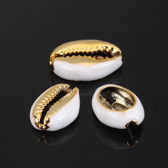 Image de Perles en Coquille Escargot de Mer Blanc Or 24mm x 16mm-17mm x 13mm, 5 Pcs