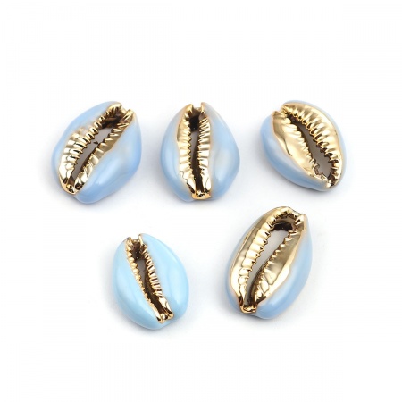 Conchiglia Sciolto Perline Conchiglia Blu Chiaro Oro 24mm x 16mm-17mm x 13mm, 5 Pz