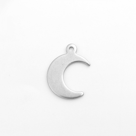 304 Stainless Steel Charms Half Moon Silver Tone 16mm x 11mm, 10 PCs