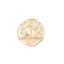 Immagine di Ottone Galassia Charms Oro Placcato Irregolare Luna 19mm x 19mm, 2 Pz