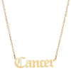 Picture of Stainless Steel Necklace Gold Plated Cancer Sign Of Zodiac Constellations Hollow 45cm(17 6/8") long, 1 Piece