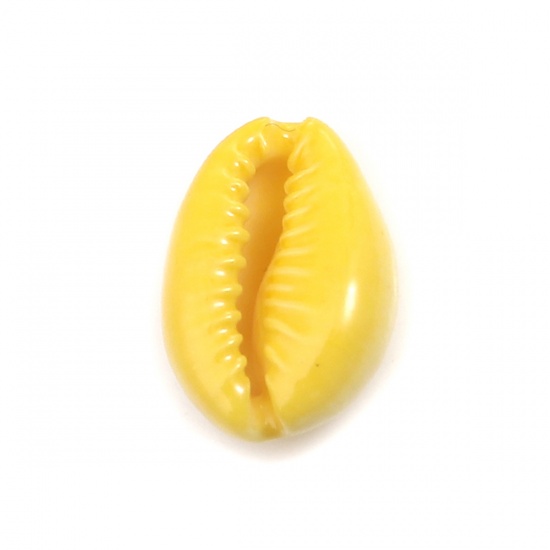 Picture of Natural Charms Shell Yellow Dyed 17mm x 12mm - 12mm x 7mm, 10 PCs