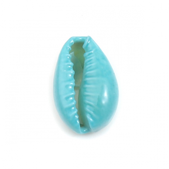 Picture of Natural Charms Shell Blue Dyed 17mm x 12mm - 12mm x 7mm, 10 PCs