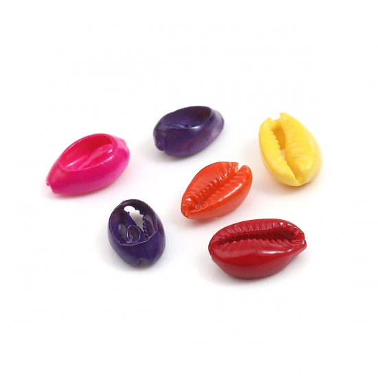 Picture of Natural Charms Shell At Random Dyed 17mm x 12mm - 12mm x 7mm, 10 PCs