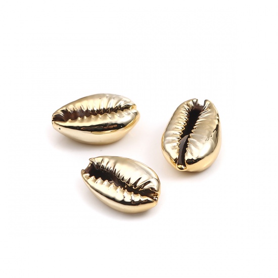 Picture of Natural Charms Gold Plated Conch/ Sea Snail Plating 20mm x 12mm - 16mm x 10mm, 5 PCs