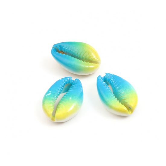 Picture of Natural Charms Shell Yellow & Blue Dyed 23mm x 16mm - 19mm x 14mm, 5 PCs