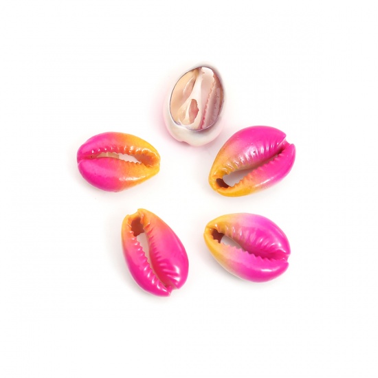 Picture of Natural Charms Shell Fushia & Orange Dyed 23mm x 16mm - 19mm x 14mm, 5 PCs