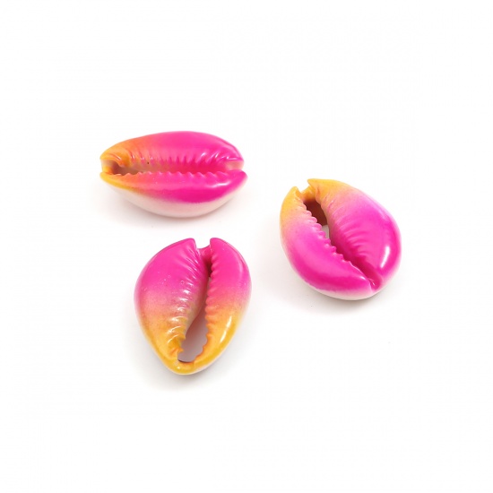 Picture of Natural Charms Shell Fushia & Orange Dyed 23mm x 16mm - 19mm x 14mm, 5 PCs