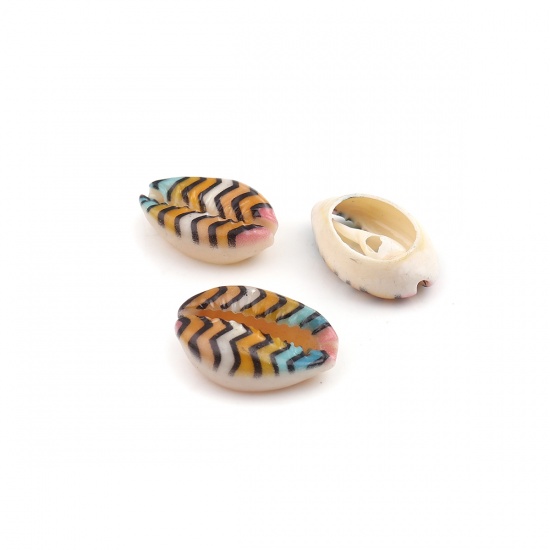Image de Perles en Coquille Escargot de Mer Multicolore Rayées 25mm x 17mm - 18mm x 13mm, 10 Pcs