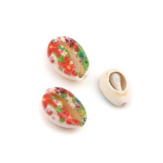 Picture of Natural Shell Loose Beads Conch/ Sea Snail Multicolor Flower Leaves Pattern About 25mm x 17mm - 18mm x 13mm, 10 PCs