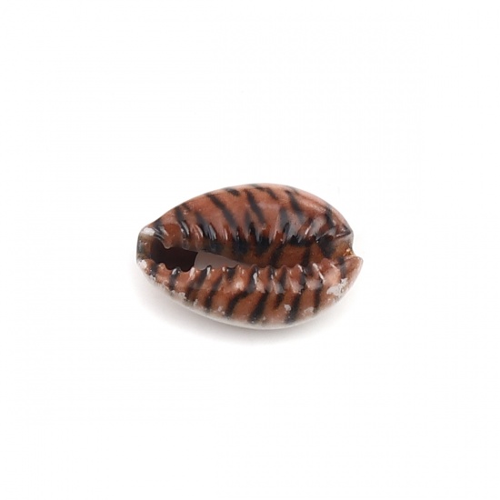 Picture of Natural Shell Loose Beads Conch/ Sea Snail Brown & Black Leopard Print Pattern About 25mm x 17mm - 18mm x 13mm, 10 PCs