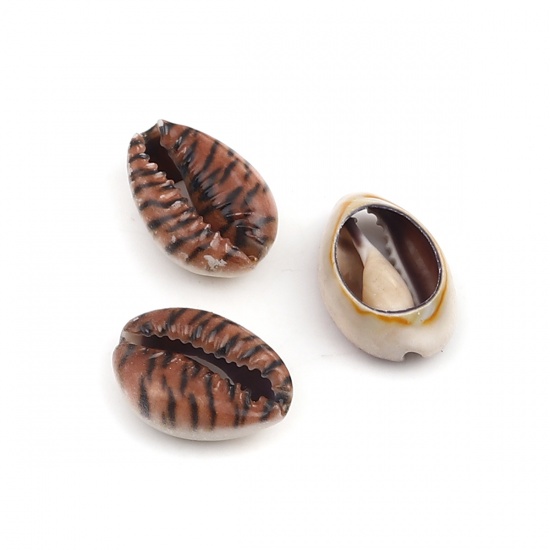 Picture of Natural Shell Loose Beads Conch/ Sea Snail Brown & Black Leopard Print Pattern About 25mm x 17mm - 18mm x 13mm, 10 PCs