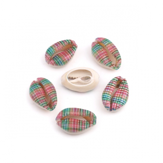 Picture of Natural Shell Loose Beads Conch/ Sea Snail Multicolor Stripe Pattern About 25mm x 17mm - 18mm x 13mm, 10 PCs