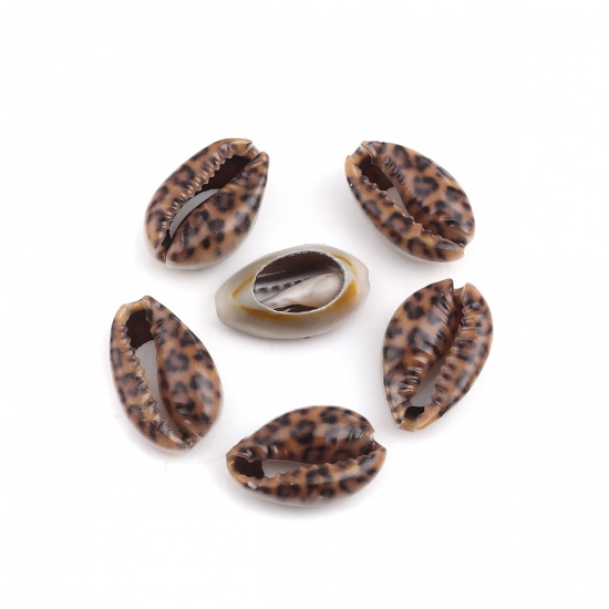 Picture of Natural Shell Loose Beads Conch/ Sea Snail Brown Leopard Print Pattern About 25mm x 17mm - 18mm x 13mm, 10 PCs