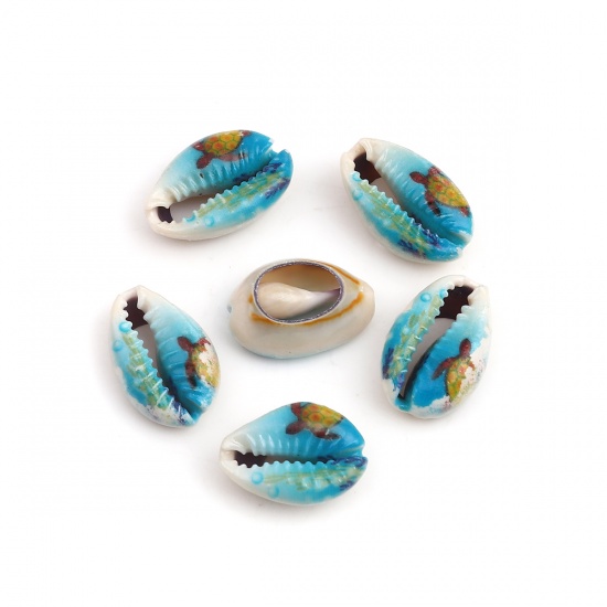 Picture of Natural Shell Loose Beads Sea Turtle Animal Blue Conch Sea Snail Pattern About 25mm x 17mm - 18mm x 13mm, 10 PCs