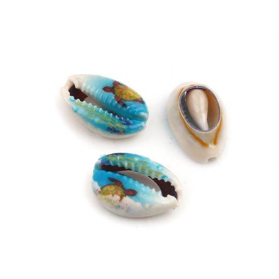 Picture of Natural Shell Loose Beads Sea Turtle Animal Blue Conch Sea Snail Pattern About 25mm x 17mm - 18mm x 13mm, 10 PCs