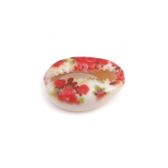 Picture of Natural Shell Loose Beads Conch/ Sea Snail Red Flower Pattern About 25mm x 17mm - 18mm x 13mm, 10 PCs
