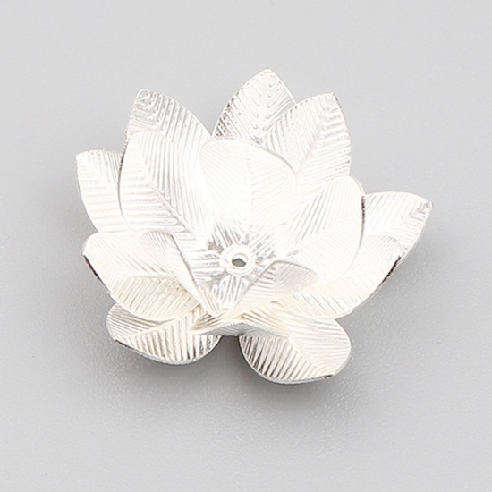 Immagine di Brass Bead Cap Flower Silver Plated (Fit Beads Size: 24mm Dia.) 23mm x 23mm, 5 PCs                                                                                                                                                                            