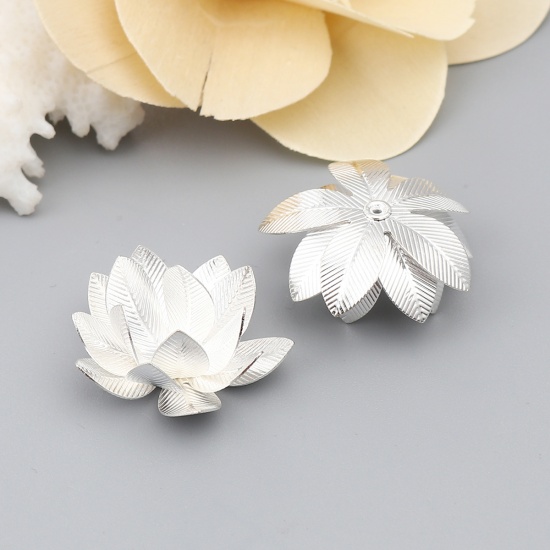 Immagine di Brass Bead Cap Flower Silver Plated (Fit Beads Size: 24mm Dia.) 23mm x 23mm, 5 PCs                                                                                                                                                                            