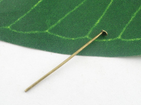 Immagine di Lega di Ferro Spillo Spilli Tono del Bronzo lunghezza:5cm 0.7mm ( misura), 300 Pz