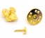 Picture of Brass Tie Tac Lapel Pin Brooches Findings Gold Plated 11.5x6mm 8x1.2mm, 100 Sets                                                                                                                                                                              