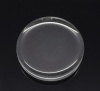 ガラス カボション  装飾パーツ 円形 フラット クリア色 25.0mm直径、 10 個 の画像