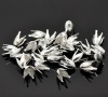 Bild von Eisen(Legierung) Perlkappen Blumen Versilbert (für 10mm Perlen) 13mm x 8mm 200 Stück