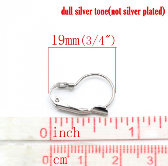 Picture of 304 Stainless Steel Lever Back Clips Earring Findings Silver Tone 19mm( 6/8") x 13mm( 4/8"), 100 PCs