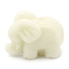 Immagine di （Grado D）Corallo Sciolto (Imitazione) Perline Elefante Beige Nulla Disegno Circa 15mm x 11mm, Foro: Circa 2mm, 20 Pz