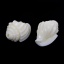 Bild von (Klasse D) Halbedelstein Koralle (Imitat) Perlen Strandschnecke Milchweiß 17mmx12mm, Loch: 1.5mm, 10 Stücke