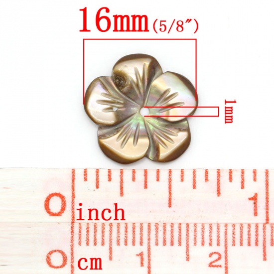 Image de Perles en Coquilles Forme Fleur Café 16.0mm x 16.0mm, Tailles de Trous: 1.0mm, 3 Pièces 