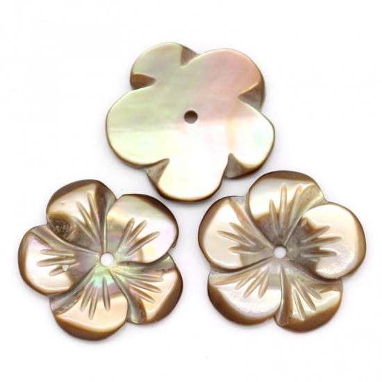 Image de Perles en Coquilles Forme Fleur Café 16.0mm x 16.0mm, Tailles de Trous: 1.0mm, 3 Pièces 