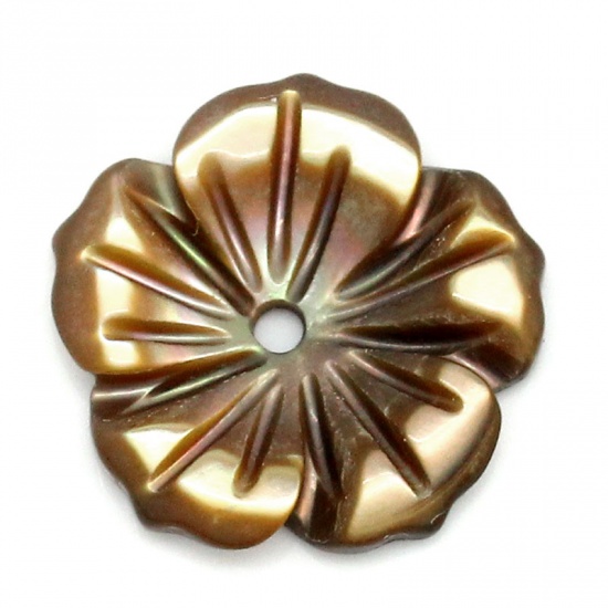 Image de Perles en Coquilles Forme Fleur Café 12.0mm x 12.0mm, Tailles de Trous: 1.0mm, 4 Pièces 