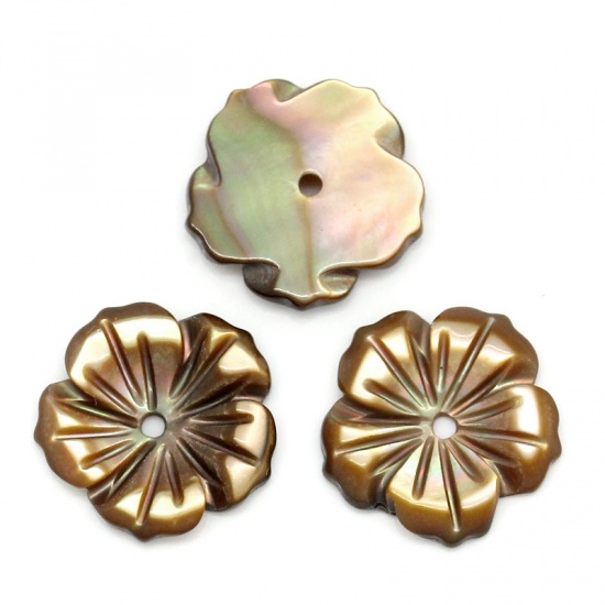 Image de Perles en Coquilles Forme Fleur Café 12.0mm x 12.0mm, Tailles de Trous: 1.0mm, 4 Pièces 