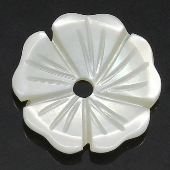 Bild von Muschel Perlen Blumen Weiß 10mm x 10mm, Loch: 1mm, 5 Stück