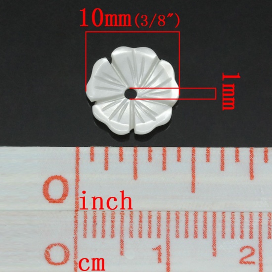 Immagine di Conchiglia Sciolto Perline Fiore Bianco Nulla Disegno Circa 10mm x 10mm, Foro:Circa 1mm, 5 Pz