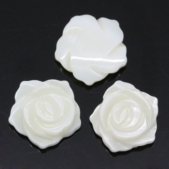 Immagine di Naturale Conchiglia Cabochon per Abbellimento Fiore Bianco Nulla Disegno 13.0mm x 13.0mm, 5 Pz