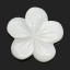 Image de Naturel, Appliques d'embellissement en Coquilles, Forme Fleur, Blanc 14.0mm x 14.0mm, 5 Pièces