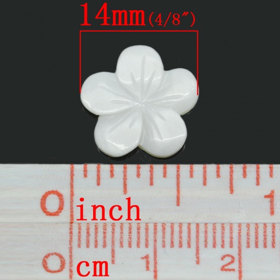 Immagine di Shell Embellishment Findings Flower White 14mm x 14mm( 4/8"x 4/8"),5PCs